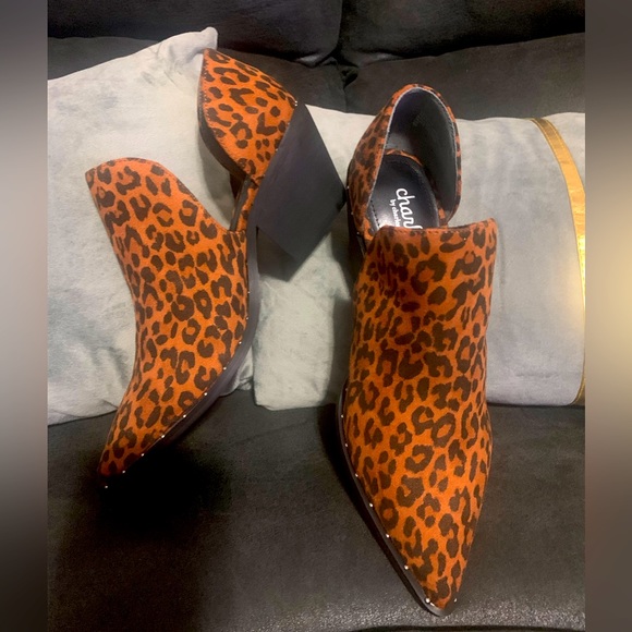 Charles David | Shoes | Charles By Charles David Leopard Print Short